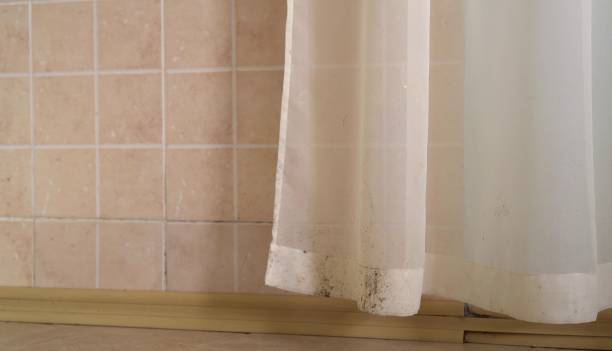 Mold Odor Removal Services in Valhalla, NY