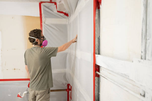 Best Asbestos and Lead Testing During Mold Inspection  in Valhalla, NY