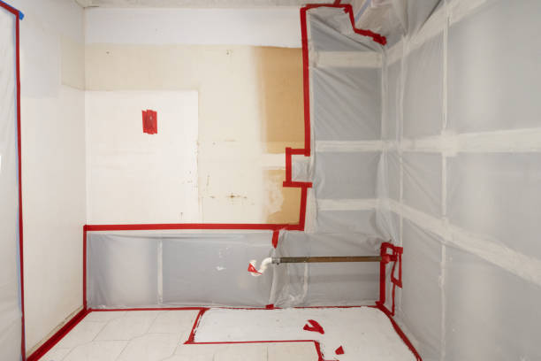 Best Attic Mold Removal  in Valhalla, NY