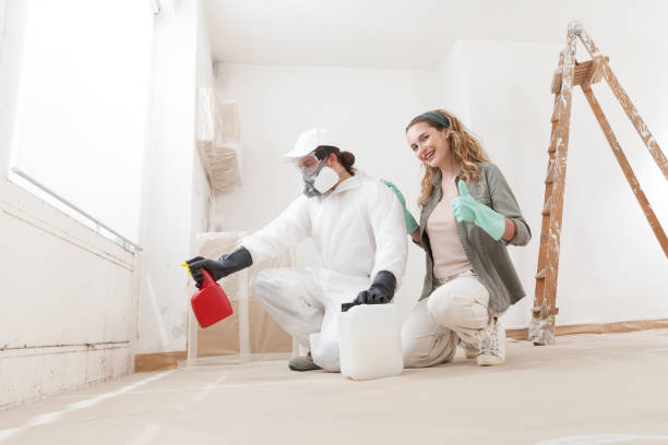 Best Water Damage & Mold Remediation  in Valhalla, NY