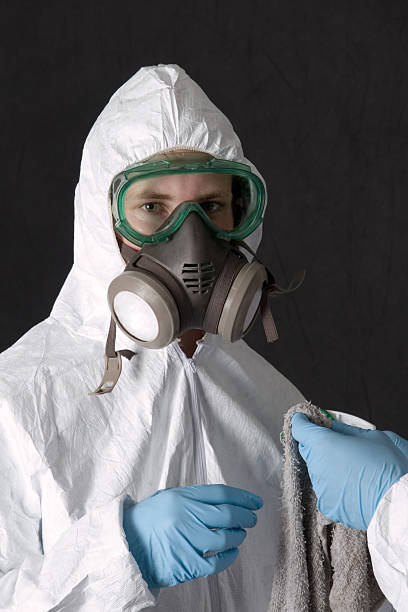 Trusted Valhalla, NY Mold Removal Experts